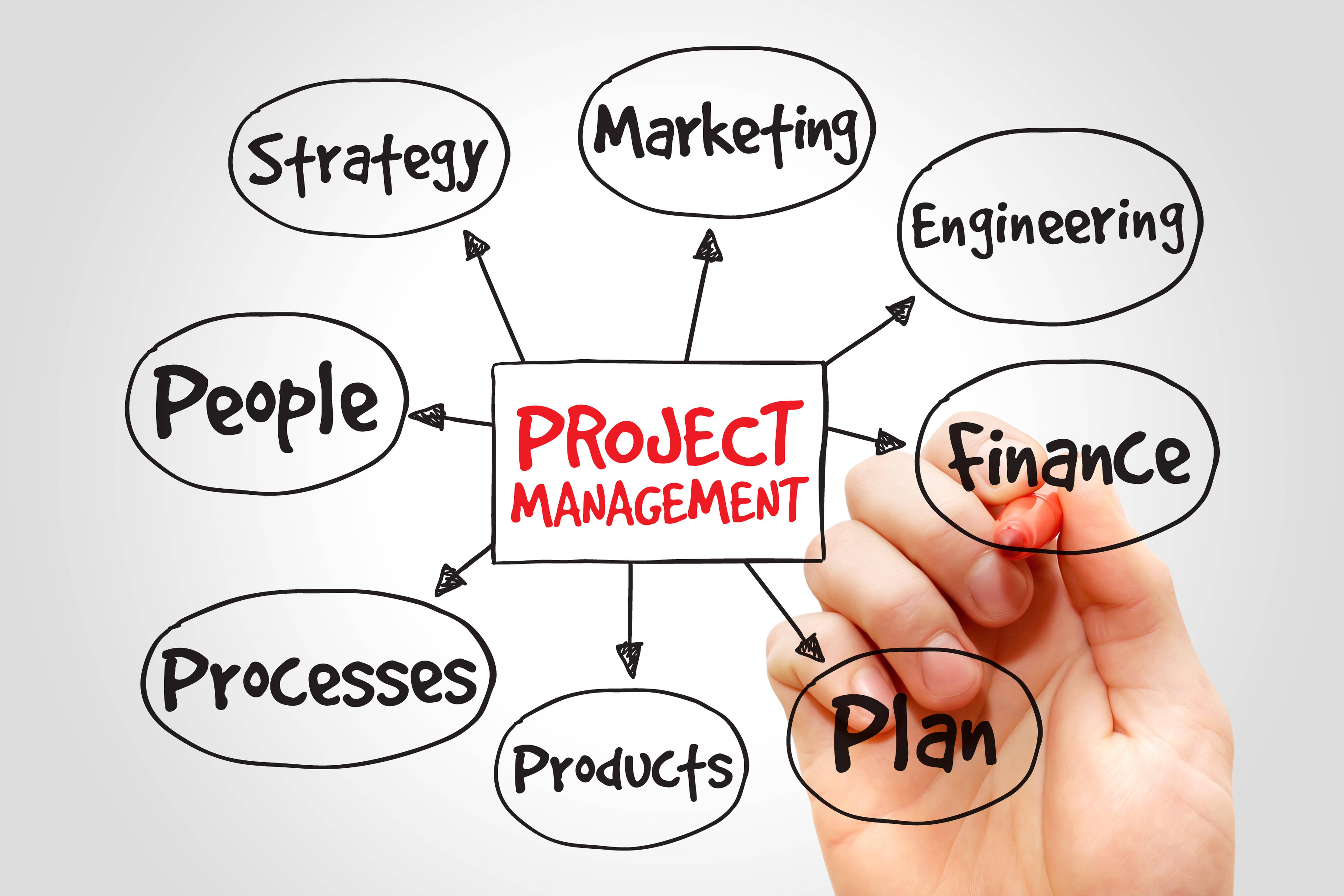 project management